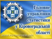 Кіровоград: середньомісячна номінальна заробітна плата штатних працівників складає 2349 грн