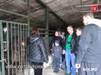 Працівники Кіровоградського слідчого ізолятора відвідали кінноспортивний комплекс