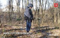 Кіровоградщина: житель села знайшов у лісосмузі боєприпаси