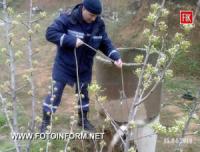 Кіровоград: рятувальники витягли собаку з 8-метрового колодязя