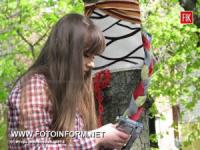 Кировоград: на коммунистическом украсили деревья