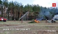 Кіровоградщина: спільні навчання з гасіння умовної пожежі на території Крилівського лісництва