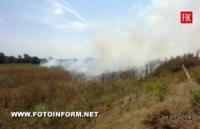 Кіровоградщина: За останню добу зафіксовано 5 загорань на відкритих територіях