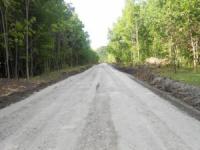 У Кіровоградській області реконструйовано 5, 3 кілометра лісових доріг