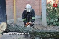 Кіровоград: рятувальники прибрали дерево,  що могло пошкодити дроти електропередач