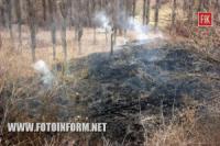 Кіровоград: ліквідовано 4 пожежі на відкритих територіях