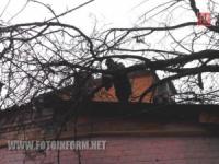 Кіровоград: сильні пориви вітру ламали дерева