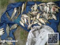 На Кіровоградщині у чоловіків вилучили близько 50 кг риби