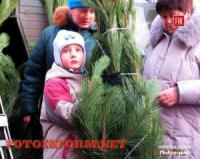 Кировоград: стартовала ярмарка праздничных елок