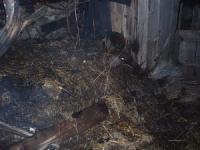 На Кіровоградщині через необережність з вогнем виникла пожежа