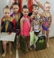 Кіровоградські гімнастки успішно виступили на відкритому чемпіонаті Олександрії