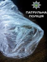 Кіровоград: поліцейські у квартирі виявили речовину,  схожу на наркотичну