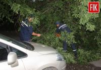 У Кіровограді дерево впало на автомобіль