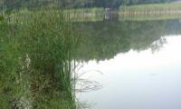 Кропивницький: на ставку у мікрорайоні Лелеківки втопився чоловік