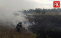 На Кіровоградщині загорілось 2 га сухої трави