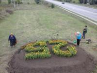 У Кропивницькому квітучий символ України вітає гостей міста