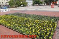 Кропивницкий: главную площадь города украсила патриотическая композиция