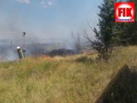 На Кіровоградщині ліквідовано 16 пожеж на відкритій території