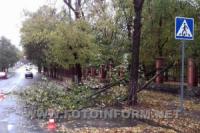 На Кіровоградщині рятувальники прибирали повалені дерева