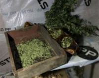 У жителя Кропивницького поліцейські вилучили марихуану