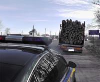 На Кіровоградщині зупинили вантажівку з деревиною без відповідних документів