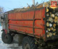 На Кіровоградщині проводять розслідування за фактом незаконної порубки лісу