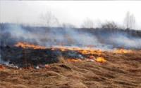 На Кіровоградщині за минулу добу виникло три випадки пожеж сухостою