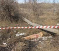 На Кіровоградщині знайшли труп,  який був загорнутий у килим