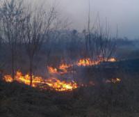 На Кіровоградщині рятувальниками ліквідовано 6 пожеж сухостою та сміття