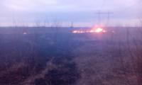 На Кіровоградщині виникло 6 пожеж на відкритій території