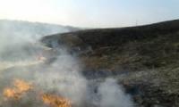На Кіровоградщині вогнеборці загасили пожежу сухої рослинності
