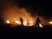 На Кіровоградщині рятувальниками ліквідовано 5 пожеж сухої рослинності