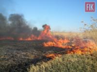 На Кіровоградщині за минулу добу виникло 23 випадки пожеж сухої рослинності