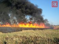 На Кіровоградщині рятувальники загасили 9 пожеж сухої рослинності та сміття
