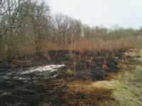 На Кіровоградщині рятувальники загасили 10 пожеж сухої рослинності та сміття