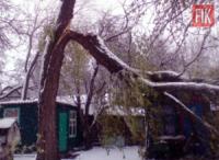 У Долинському районі дерево впало на будівлю