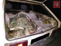 На Кіровоградщині поліцейські вилучили у браконьєра незаконного улову на понад 11 тисяч гривень
