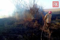 На Кіровоградщині ліквідовано 4 пожежі сухої трави та очерету