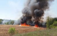 На Кіровоградщині ліквідовано 7 пожеж сухої трави