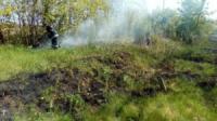 Кіровоградська область: рятувальниками ліквідовано 4 пожежі сухої рослинності та сміття