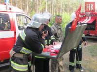 Рятувальники та лісівники провели спільні навчання в Олександрійському лісництві