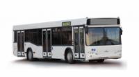 На пасажирських маршрутах Кропивницького з' являться двадцять нових автобусів