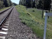 На Кіровоградщині вкрали понад 80 клемних болтів на колії перегону залізниці