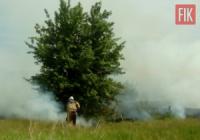 На Кіровоградщині рятувальники загасили 6 пожеж у екосистемі