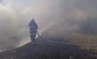 На Кіровоградщині загасили 5 пожеж рослинності
