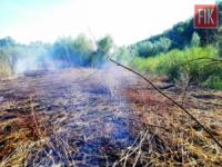 На Кіровоградщині рятувальники тричі гасили пожежі рослинності та сміття