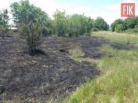 На Кіровоградщині виникло 5 випадків пожеж сміття та рослинності