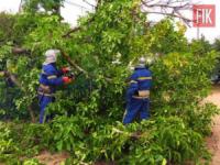На Кіровоградщині рятувальники тричі надавали допомогу по розпилюванню та прибиранню дерев