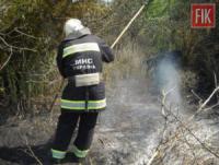На Кіровоградщині виникло 4 пожежі рослинності та сміття