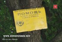 У Кропивницькому мешканців міста обурює реклама на деревах